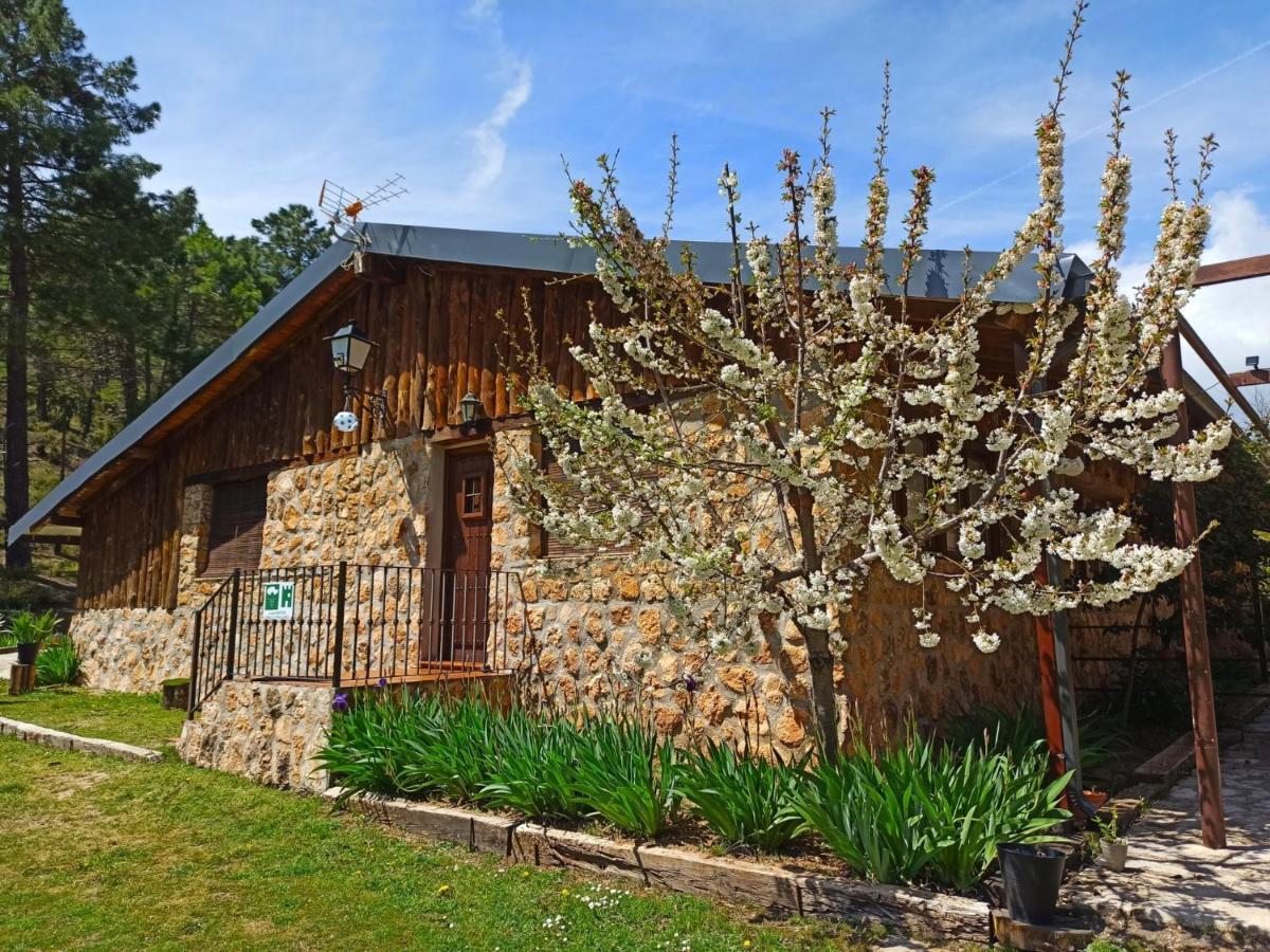 Chalet Esmeralda 3 D Y 2 Banos Zafiro Lagunazo Parque Natural Rio Mundo Riópar Exterior foto
